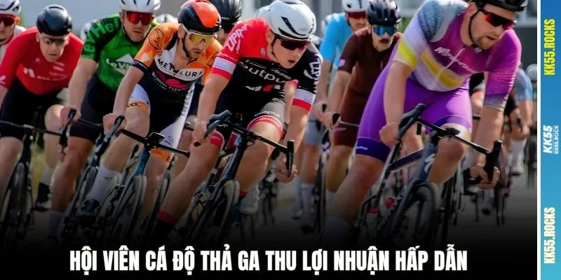 Hội viên cá độ thả ga thu lợi nhuận hấp dẫn