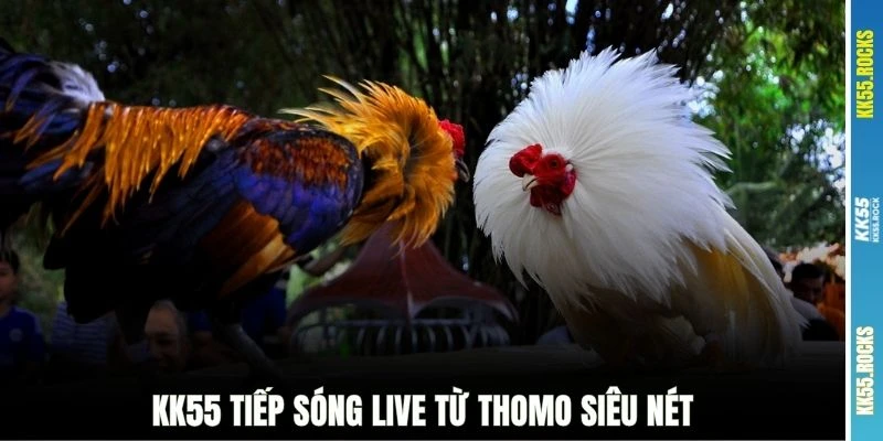KK55 tiếp sóng live từ Thomo siêu nét