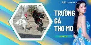 Trường Gà Tho mo